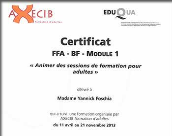 Certificat FSEA